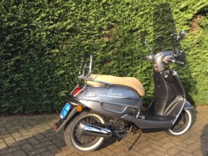Berini GP 50