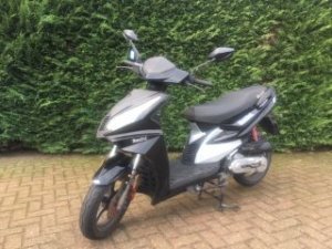 Berini GP50