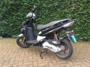 Berini GP50