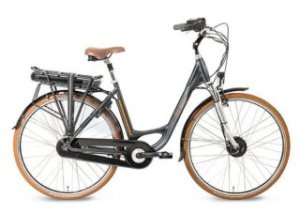 Dutch e-bike Voltage
